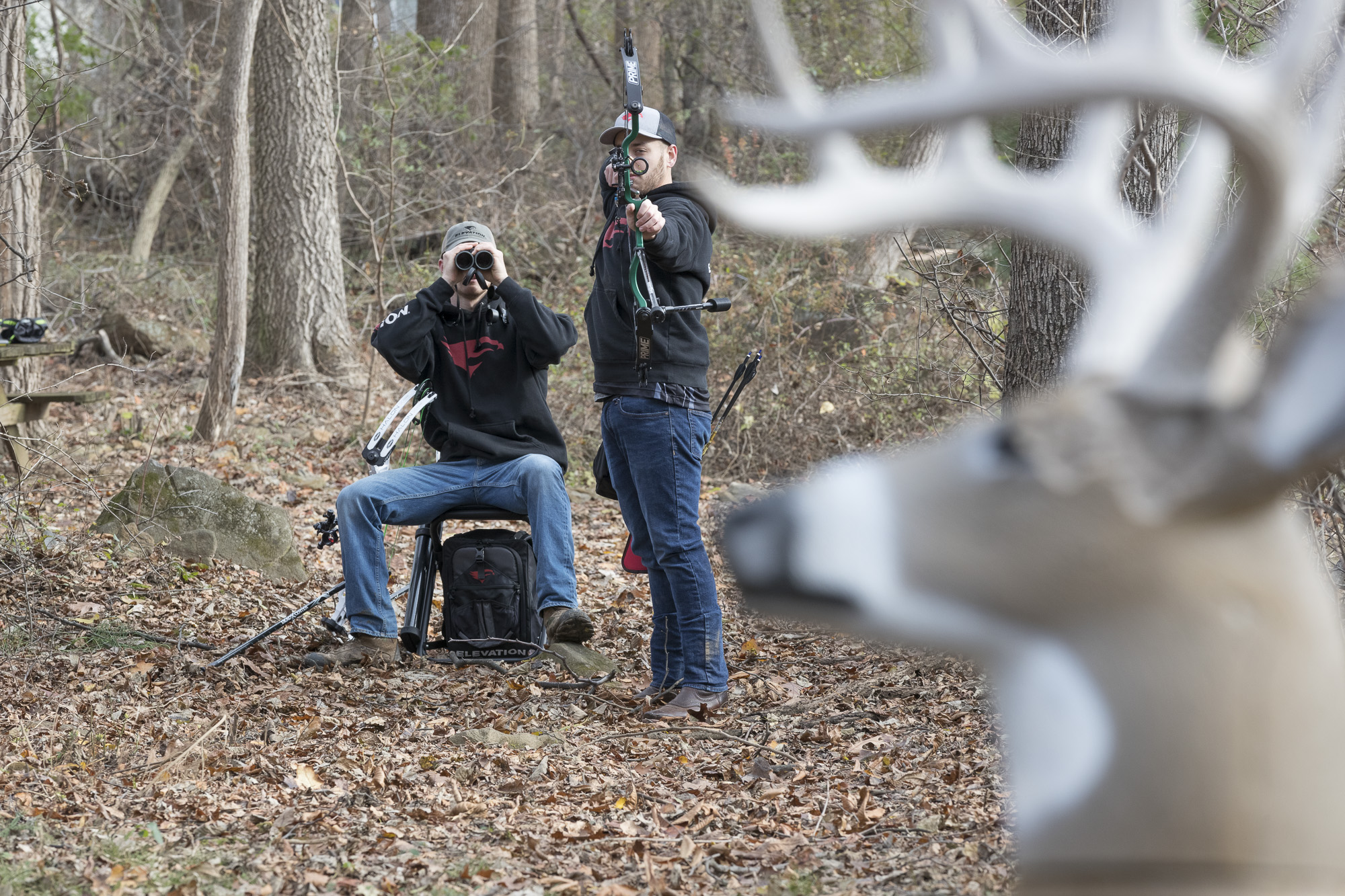 How ASA 3D Archery Scoring Works Elevation Equipped