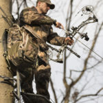 Bowhunter, Bowhunting, Bowhunter in Treestand