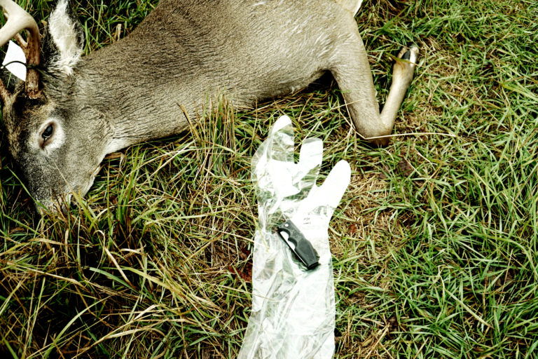 How to Field Dress a Deer in Under 5 Minutes Elevation