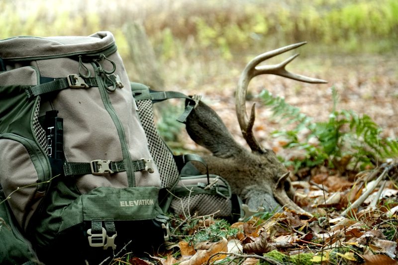 How to Field Dress a Deer in Under 5 Minutes Elevation